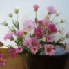 樹脂粘土で作る秋の花シリーズ