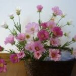 樹脂粘土で作る秋の花シリーズ
