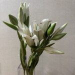 樹脂粘土の花　カサブランカ