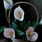 樹脂粘土で作るカラーの花の魅力